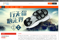 独立域名企业官网vip服务图2
