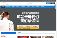 独立域名企业官网vip服务图3