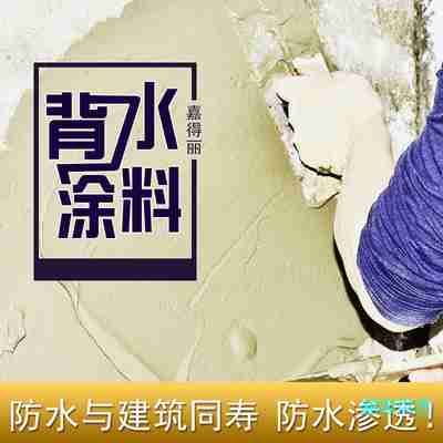 嘉得丽房屋背水面材料防霉防潮抗碱防水涂料卫生间外墙漏水补堵漏20KG/桶图2
