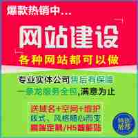 做网站建设一条龙全包公司新网页设计制作与网络开发优化企业推广