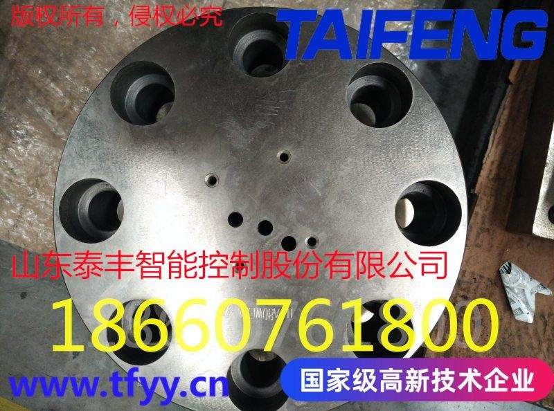 厂家直销泰丰压力盖板TLFA125GWA-7X图1