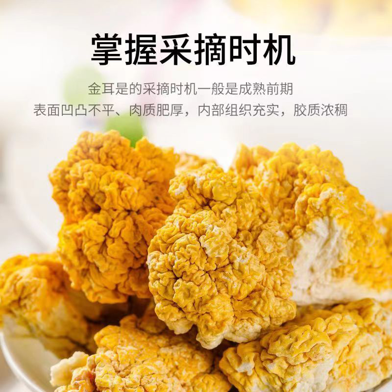 金耳菇礼盒（200*2盒/箱）图4