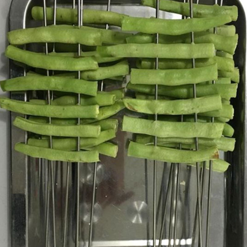 四季豆图1