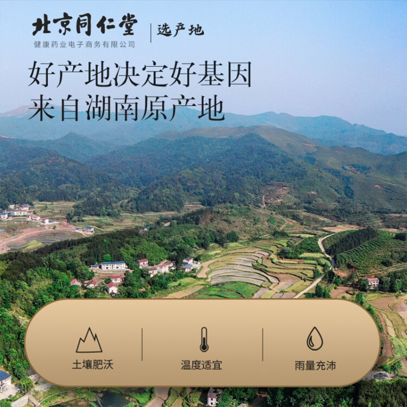 北京同仁堂 青源堂青钱柳茶叶160克 金钱柳牛蒡玉米须茶原料青钱柳桑叶茶原料非青钱柳树苗礼品图4
