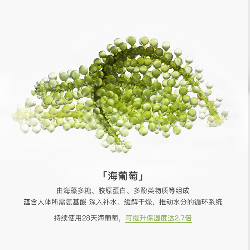 贝玲美黄金海葡萄多肽微晶水乳两件套图3
