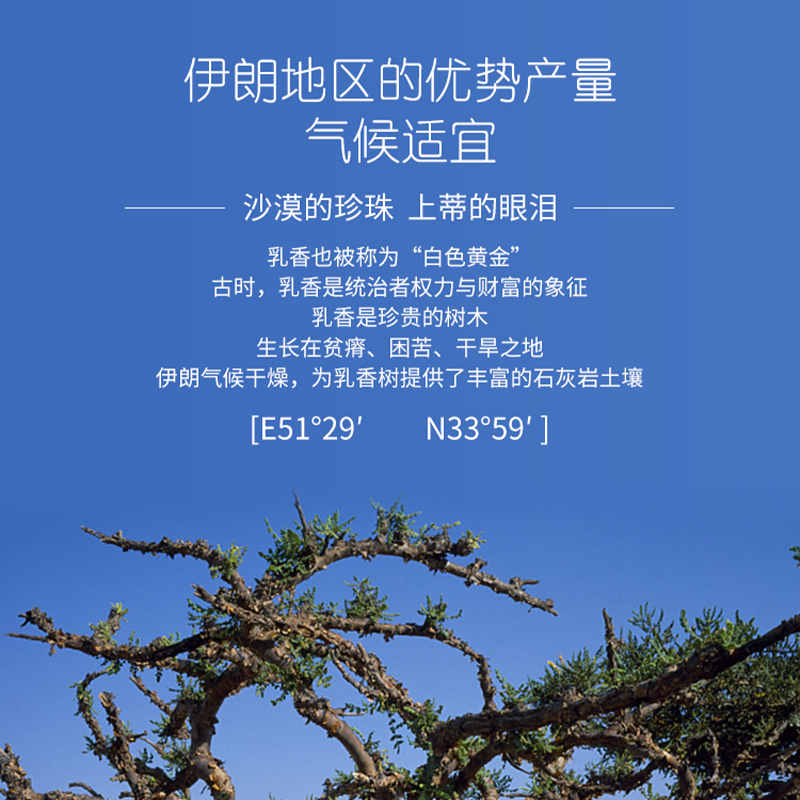 伊朗巴莉哲巴家乳香纯露补水紧实肌肤抚平纹路化妆水500ml赠品(1个喷雾瓶30ml+1包压缩面膜10粒+1包化妆棉30片)图2