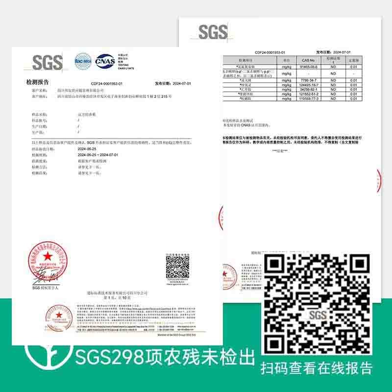 【SGS298项农残未检出 树上熟9成熟苹果蕉】非常有风味的香蕉 不打催熟剂和保鲜剂 供应香港基地 收到放黄偏软一点再吃 市面上几乎买不到【SGS298项农残未检出 树上熟9成熟苹果蕉】非常有风味的香图6