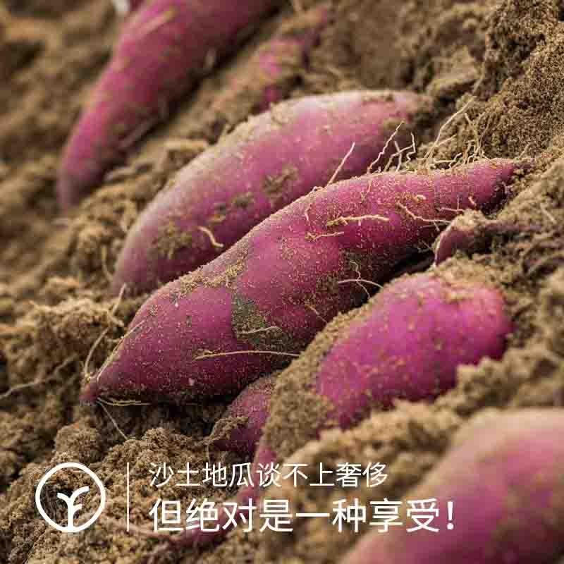 【检测SGS298项农残未检出-地瓜届的劳斯莱斯】粉糯香甜 国产地瓜天花板 你永远无法拒绝一颗来自桥头的沙土富硒地瓜 有板栗香味蒸着吃图2