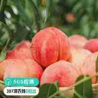 【远方检测307项农残0检出 人间仙桃晚湖景！远方好物出品！来自上天的恩赐！】产自龙泉驿 晚湖景水蜜桃4.5斤装  国内水蜜桃天花板 绝绝子 YYDS！