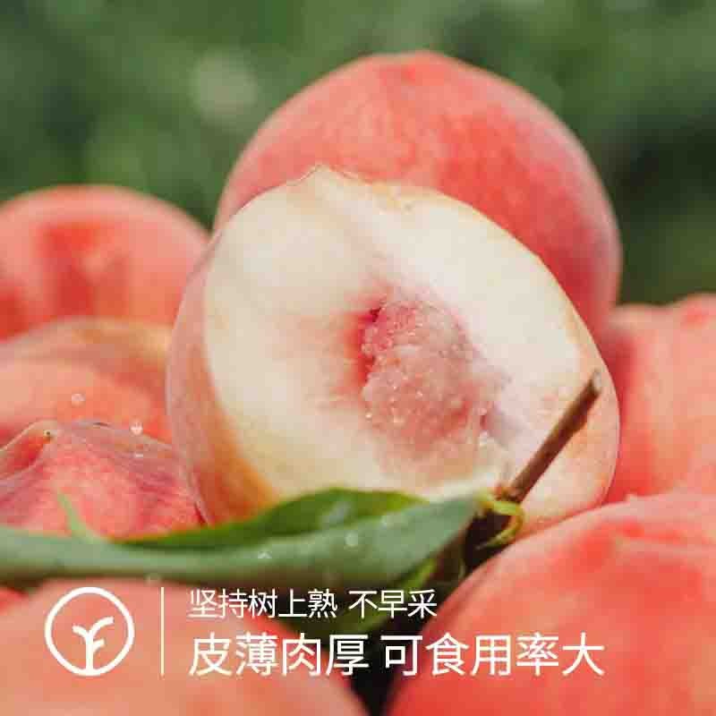 【远方检测307项农残0检出 人间仙桃晚湖景！远方好物出品！来自上天的恩赐！】产自龙泉驿 晚湖景水蜜桃4.5斤装  国内水蜜桃天花板 绝绝子 YYDS！图2