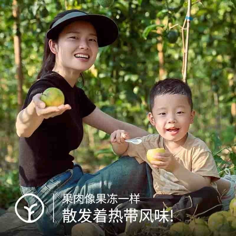 【308项农残未检出 这才是百香果！一百种香气在里面！原始森林里的百香果！】即食百香果 很香甜有芭乐味 非一般百香果可比！收到微微发黄就可食用3.5斤图5