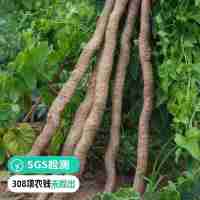 【远方检测-SGS 308项农残均未检出 guojiaji非遗传承】河南焦作 自然生长高矿物质垆土种植 新鲜山药 5斤装 蒸煮后 口感粉面香糯