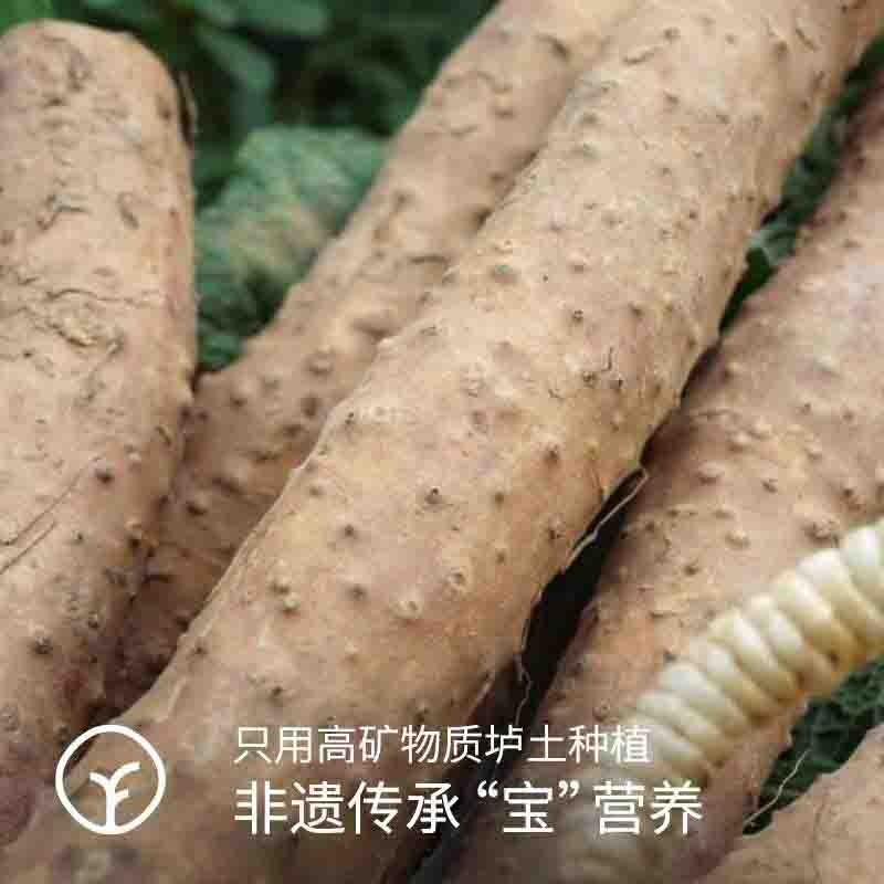 【远方检测-SGS 308项农残均未检出 guojiaji非遗传承】河南焦作 自然生长高矿物质垆土种植 新鲜山药 5斤装 蒸煮后 口感粉面香糯图4