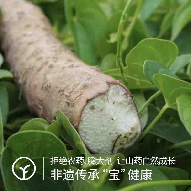 【远方检测-SGS 308项农残均未检出 guojiaji非遗传承】河南焦作 自然生长高矿物质垆土种植 新鲜山药 5斤装 蒸煮后 口感粉面香糯图2