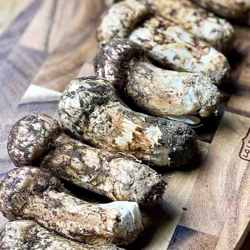 【检测SGS298项农残0检出 稻城亚丁的野生松茸】来自海拔4000米+的高原松茸 没来过稻城 一定要尝一尝稻城的松茸鲜脆嫩图3