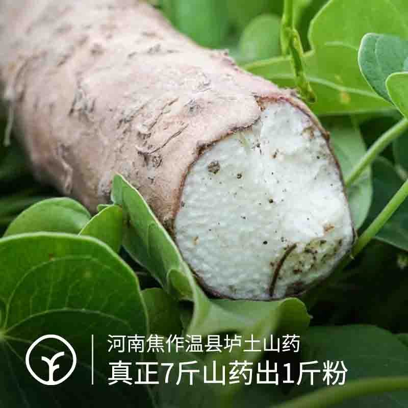 【通过远方308项检测 0添加 0防腐 铁棍山药粉】不是所有山药粉都经过28道古法炮制图4
