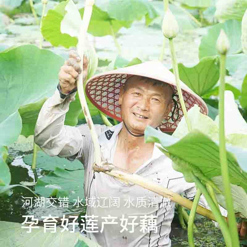 【通过远方308项检测 远方的梦想定制 真正有机纯藕粉不添加糖】有机原料自有基地有机种植  二十多斤鲜藕出1斤纯藕粉图2