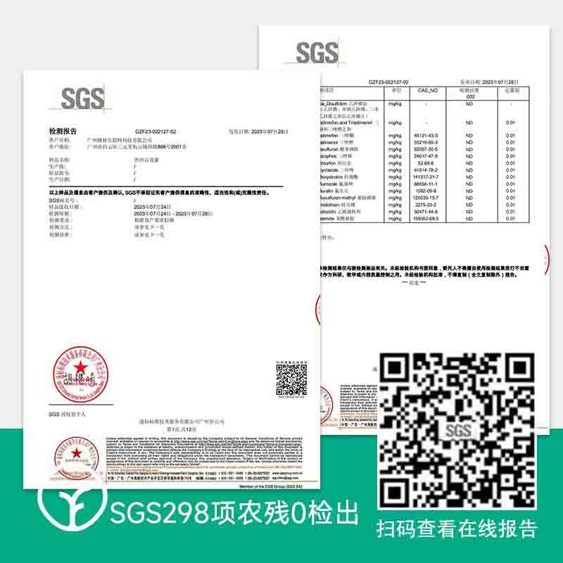 【通过远方298项检测 好蜜源于自然 便携勺蜜 独立包装 随身携带】源自深山，古法养殖，一年一取，自然成熟图6