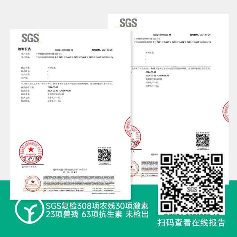 【通过远方414项检测 0添加 匠心之选】密林深处鲜王浆 即采即冻 源头保鲜 有特殊香味 味酸涩辛辣 250g/瓶图6
