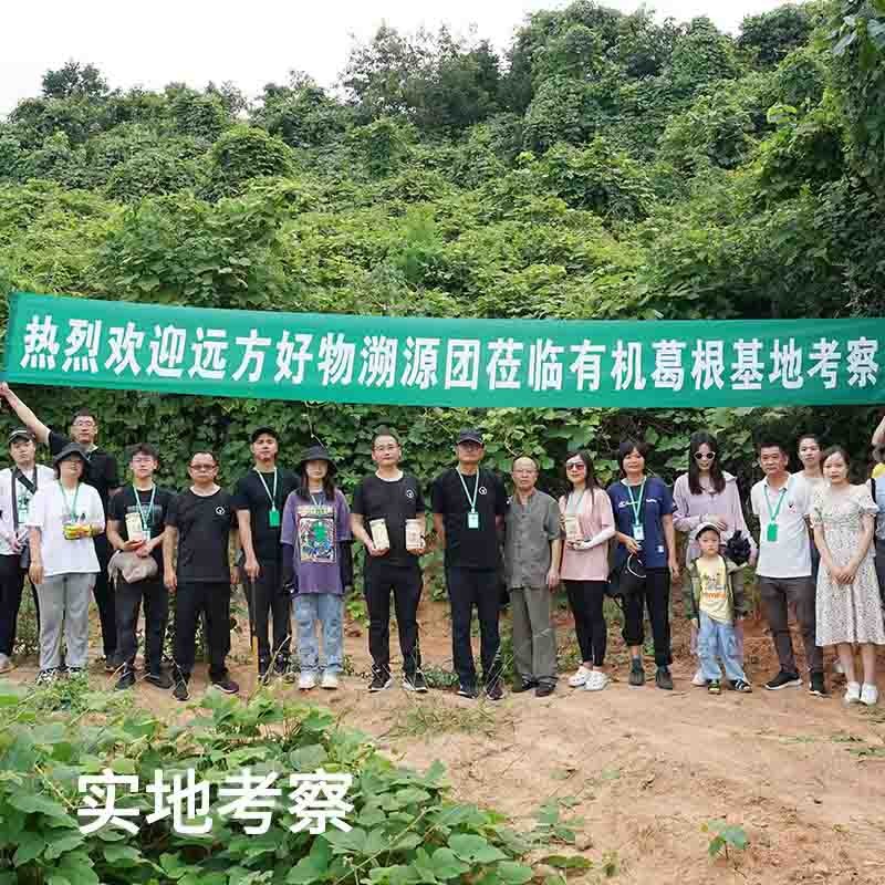 【通过远方311项检测 有机葛粉 非遗产品】野生葛根采集，营养丰富，富含多种氨基酸 二月风有机葛粉罐装 远方的梦想定制款图4