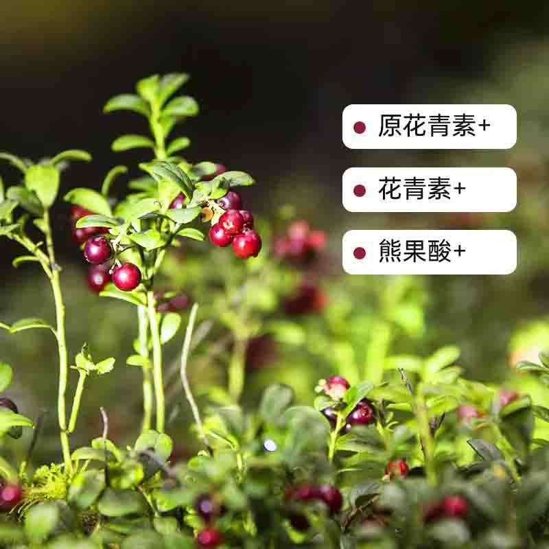 【通过远方298项检测 野生蔓越莓果酱 大粒果肉 一口满足】整颗鲜果 低温慢煮 口感酸甜 肉质软糯 180克/瓶*2瓶图3