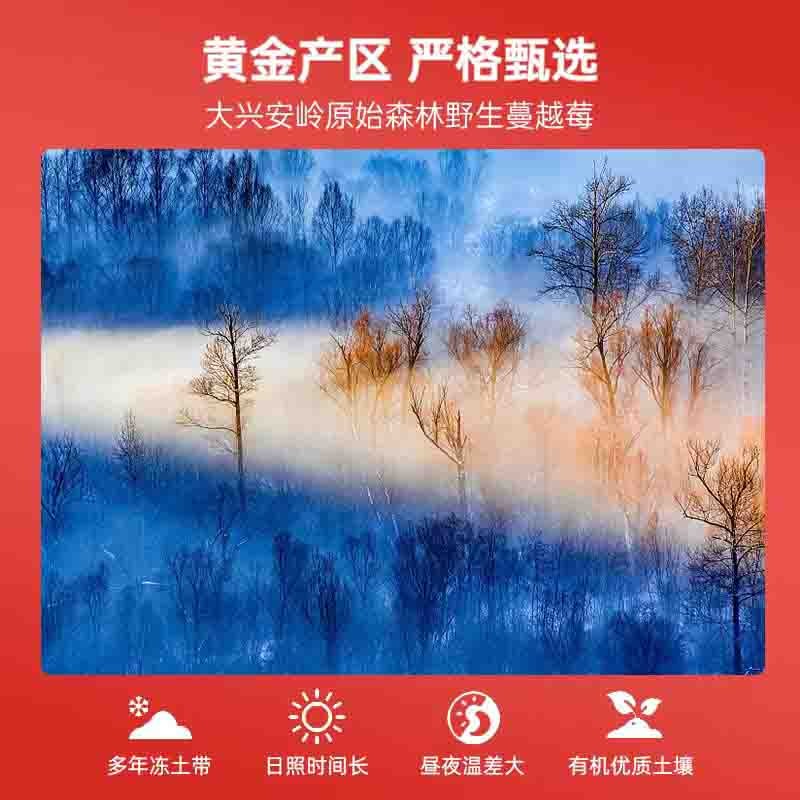 【通过远方298项检测 野生蔓越莓果酱 大粒果肉 一口满足】整颗鲜果 低温慢煮 口感酸甜 肉质软糯 180克/瓶*2瓶图5