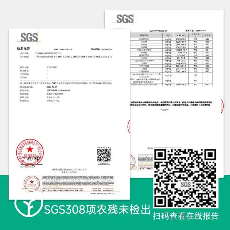 【通过远方308项检测 五倍子蜂蜜】好山好水 远离城市无污染 只采取野生的五倍子花 一个花季仅取一次 稀有五倍子蜜500g/瓶图5