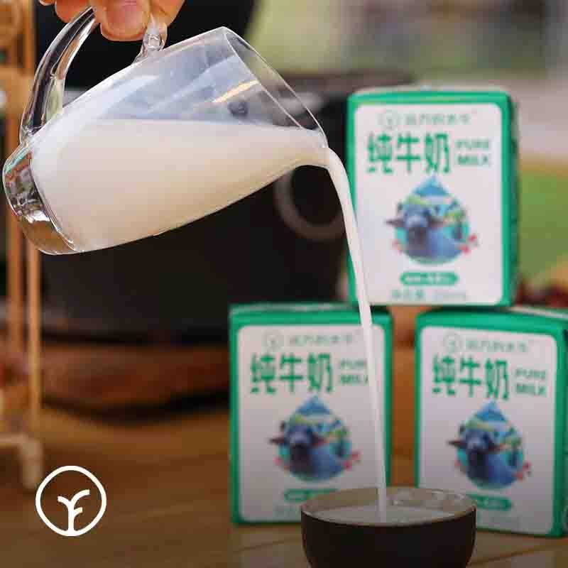 【通过远方132项检测 远方的水牛 纯牛奶】每100毫升含4.0克优质乳蛋白 牛奶口感浓郁 入口顺滑香甜图2