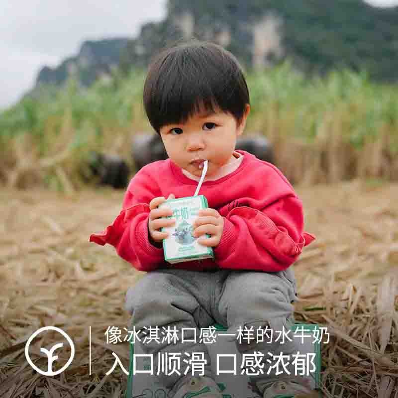 【通过远方132项检测 远方的水牛 纯牛奶】每100毫升含4.0克优质乳蛋白 牛奶口感浓郁 入口顺滑香甜图3