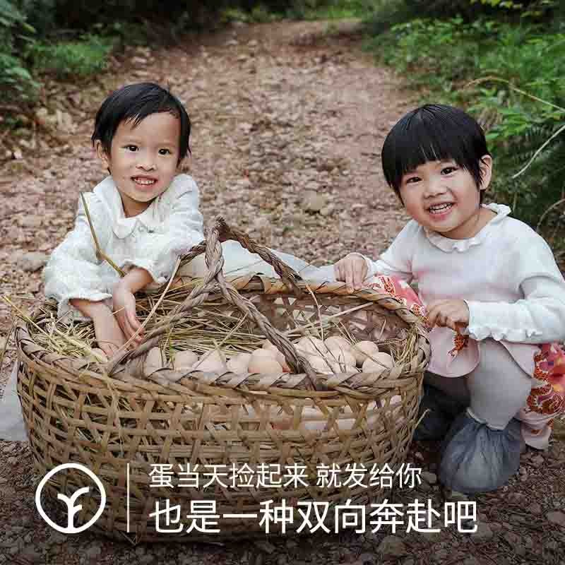 【通过远方375项检测 远方好物定制有机土鸡蛋！】谷物喂养 清水一煮就很香 现捡现发 只发当日鲜蛋 30枚/箱图4