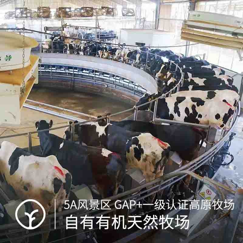 【通过远方134项检测 0添加0防腐新希望集团来自云南高原纯正味道】3.6g高蛋白全脂纯牛奶10瓶/箱*1箱图2