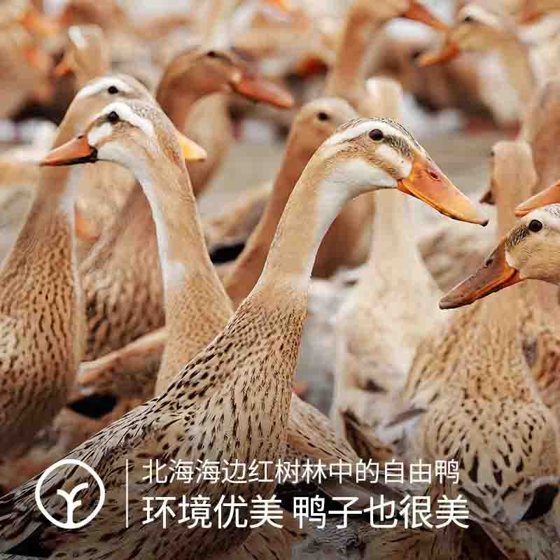 【通过远方59项检测 北海烤海鸭蛋 选用北海正宗当地海鸭蛋 低盐古法草木灰腌制】130°恒温烤制 咸淡适中 蛋黄饱满流油酥沙 一口吃出“蟹黄”香图4