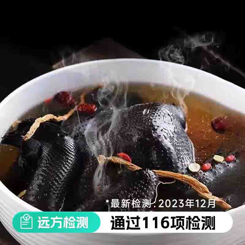 【通过远方116项检测 正宗泰和乌鸡】农产品地理标志产品 国际乌鸡标准品种 我国替换字珍禽图1