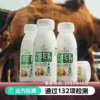 【通过远方132项检测 远方的梦想定制有机鲜驼乳200ml*7瓶 低温短保鲜驼乳 保质期12天】巴氏低温灭菌 低温罐装保留驼奶原始的味道 口感鲜活醇厚