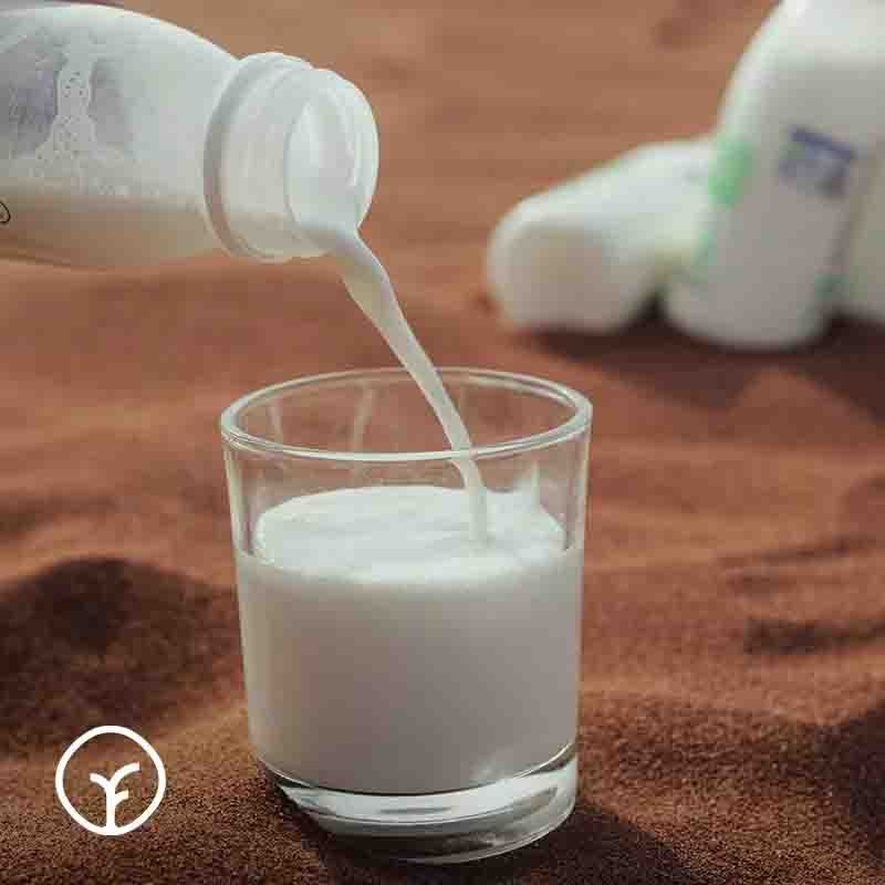【通过远方132项检测 远方的梦想定制有机鲜驼乳200ml*7瓶 低温短保鲜驼乳 保质期12天】巴氏低温灭菌 低温罐装保留驼奶原始的味道 口感鲜活醇厚图3