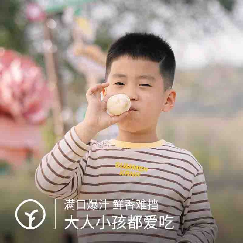 【通过远方424项检测 手工鲜松茸鲜肉小笼包子】猪总监自营泰山土猪肉丨有机认证面粉丨云南野生纯松茸，不加鸡精味精调味料，老面发酵有机面皮麦香味图4