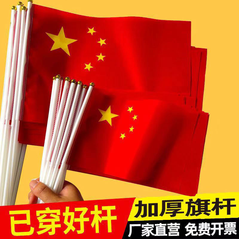 大号国旗图5