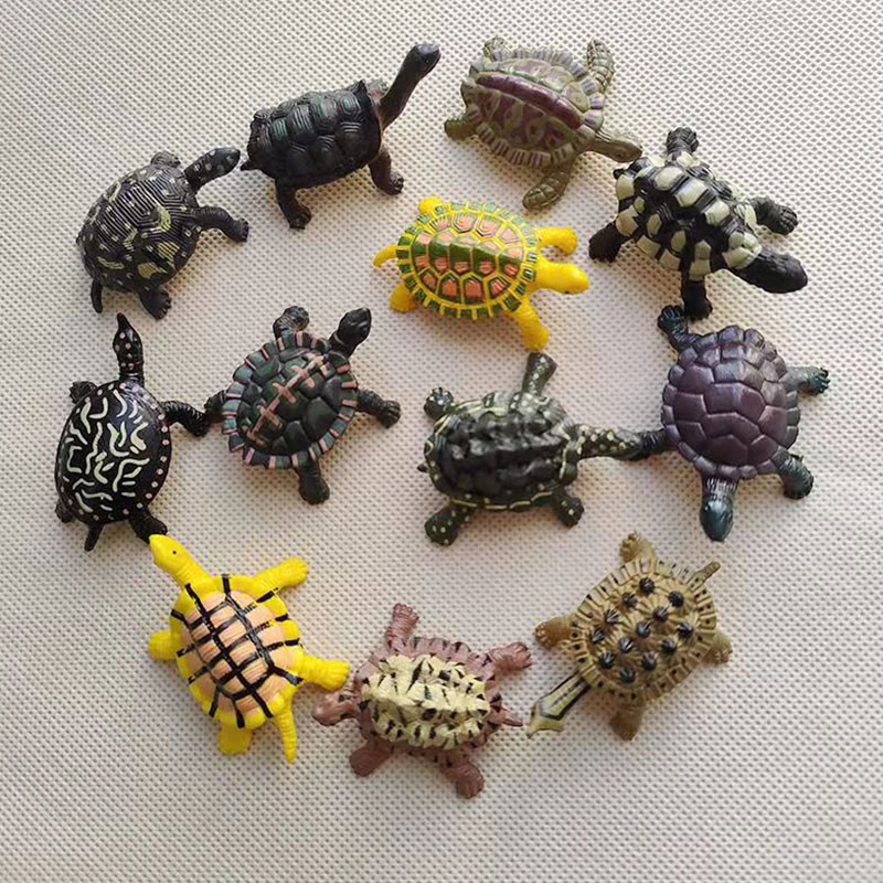 各种各样海龟图2