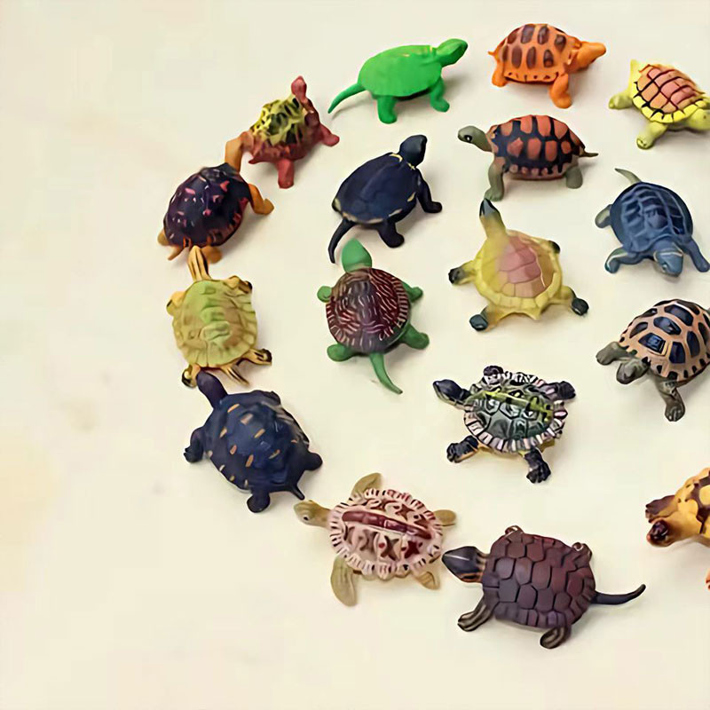 各种各样海龟图4