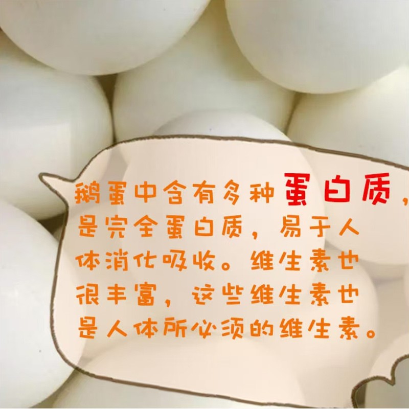 农家散养鹅蛋图2