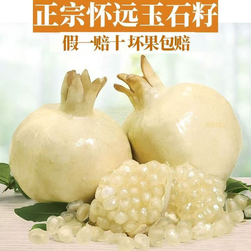 怀远特产白花玉石籽石榴 单果300g起 含箱十斤装图5