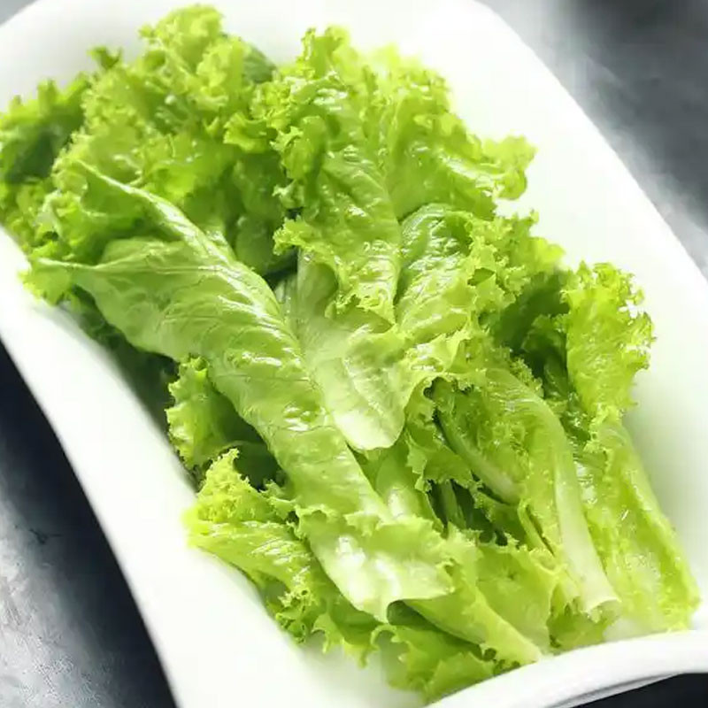 生菜图2