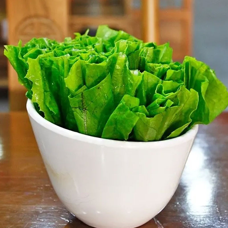 油麦菜图2