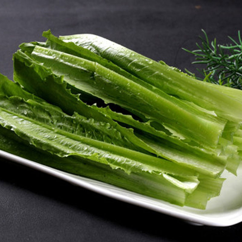 油麦菜图5