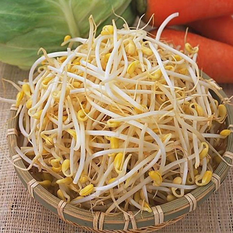 豆芽图4