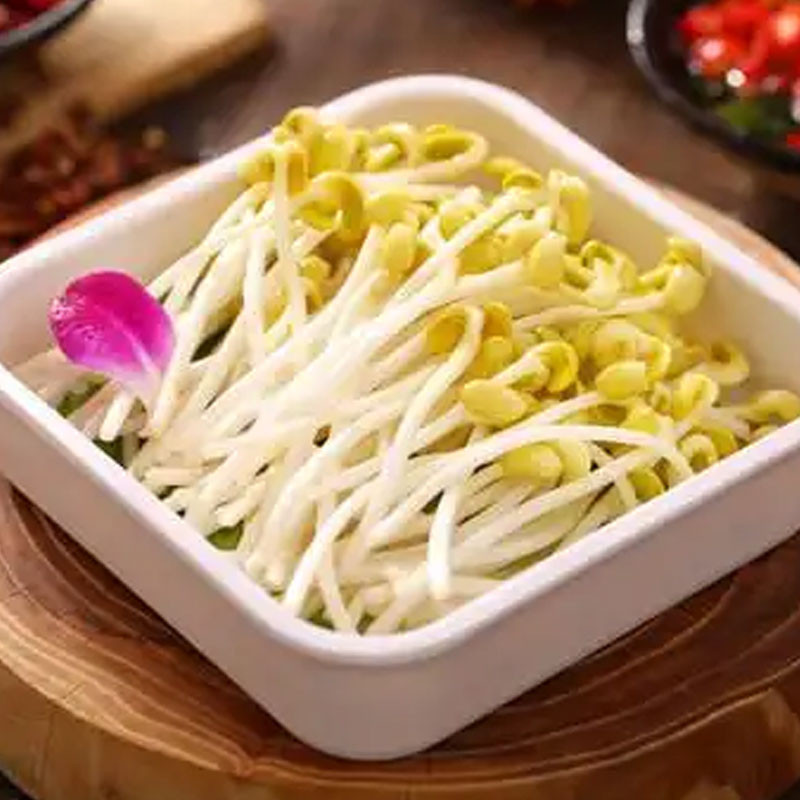 豆芽图2