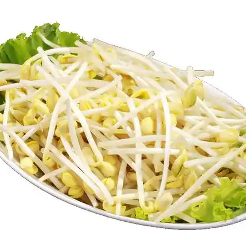 豆芽图3