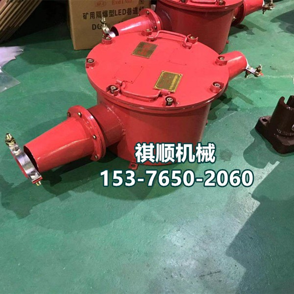 BHG1-315/10煤矿用接线盒开关 两通接线盒图1