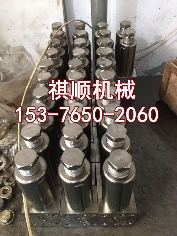WRB125/31.5乳化泵配件 柱塞密封圈 挡圈垫片图1