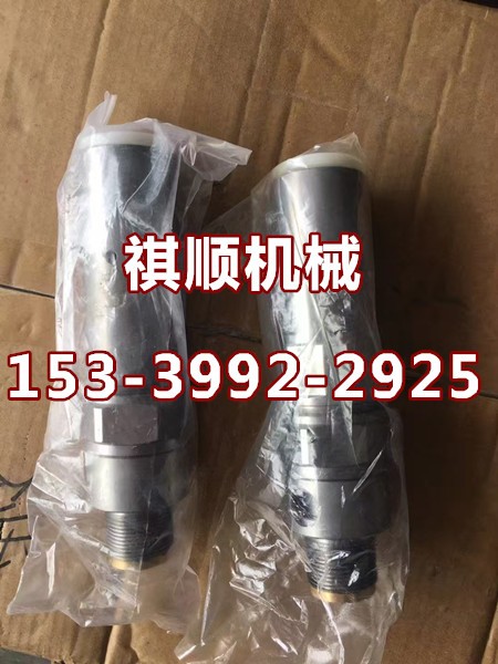 GRB315/31.5乳化液泵交替阀溢流阀 先导阀组件图1
